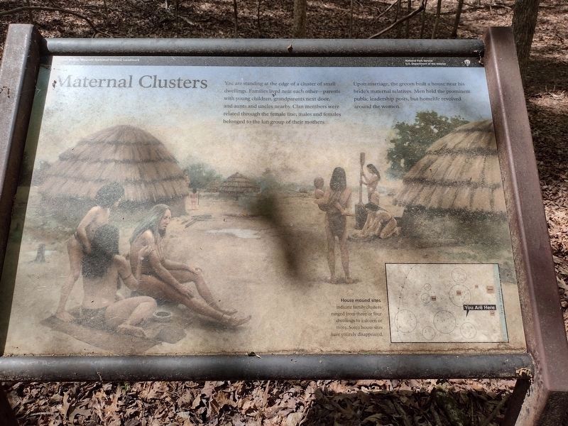 Maternal Clusters Marker image. Click for full size.