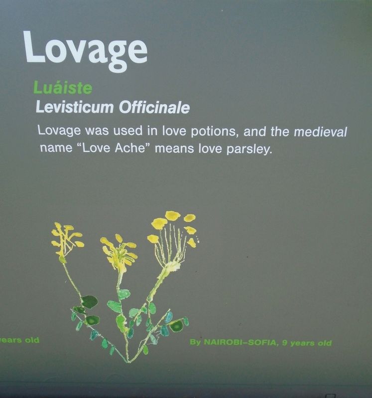 Historical Garden at Athlone Castle Lovage Marker image. Click for full size.