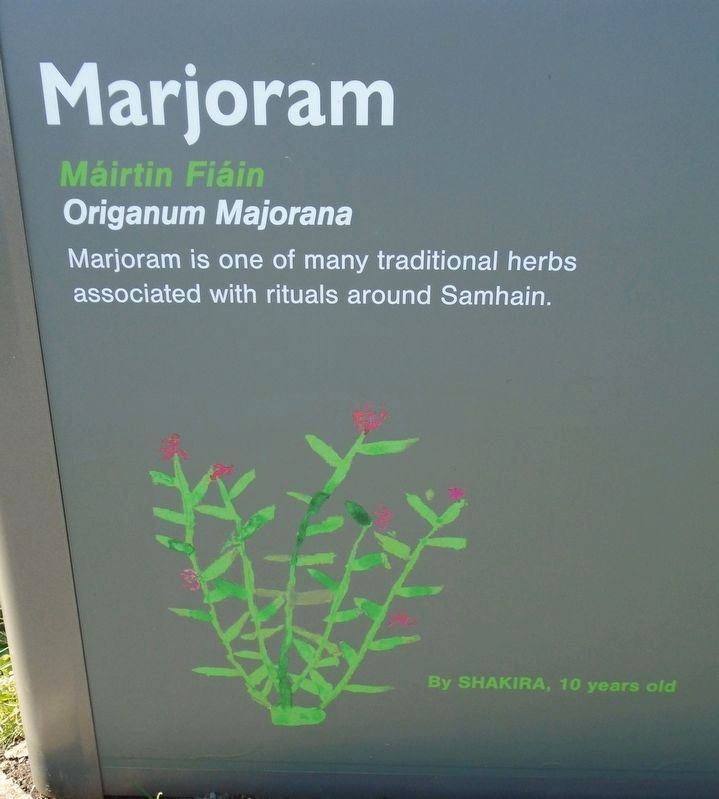 Historical Garden at Athlone Castle Marjoram Marker image. Click for full size.
