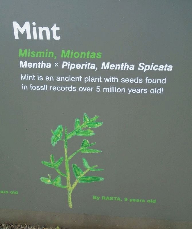 Historical Garden at Athlone Castle Mint Marker image. Click for full size.