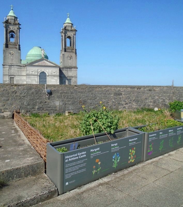 Historical Garden at Athlone Castle Markers image. Click for full size.