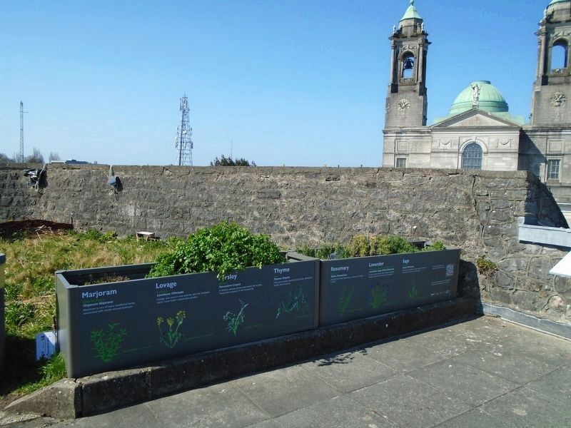 Historical Garden at Athlone Castle Markers image. Click for full size.