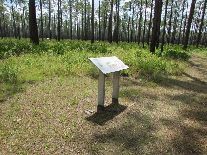 A Bloody Massacre Marker. Click for full size. A Bloody Massacre Marker image. Click for full size.