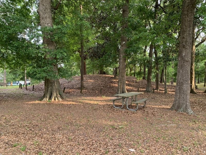 Velda Mound. Click for full size. Velda Mound image. Click for full size.
