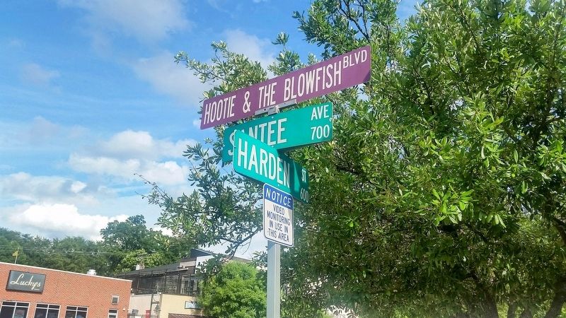 Hootie & The Blowfish Boulevard image. Click for full size.