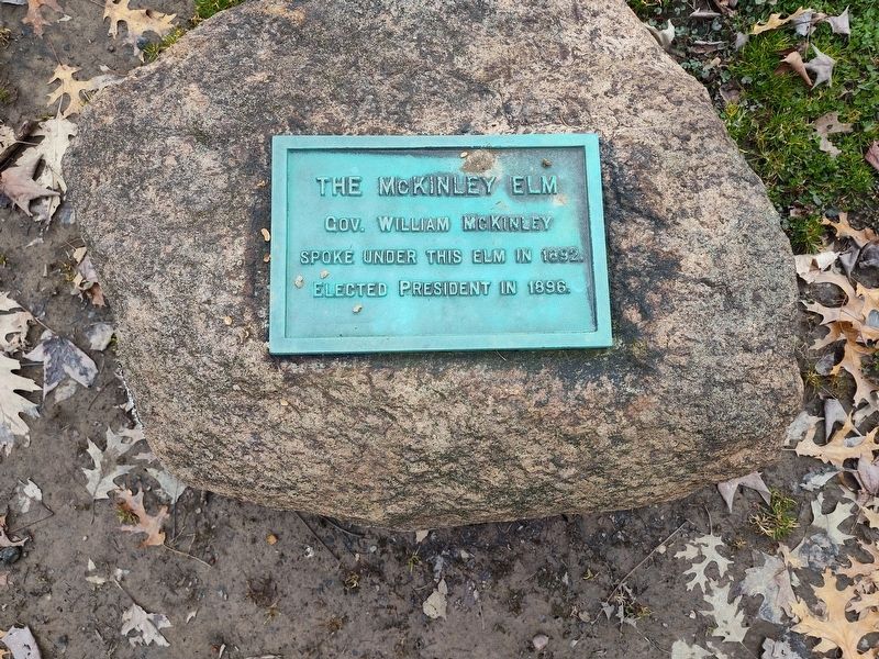 The McKinley Elm Marker. Click for full size. The McKinley Elm Marker image. Click for full size.