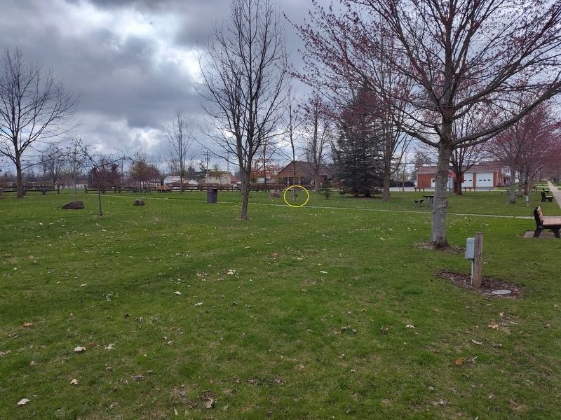 The McKinley Elm Marker. Click for full size. The McKinley Elm Marker image. Click for full size.