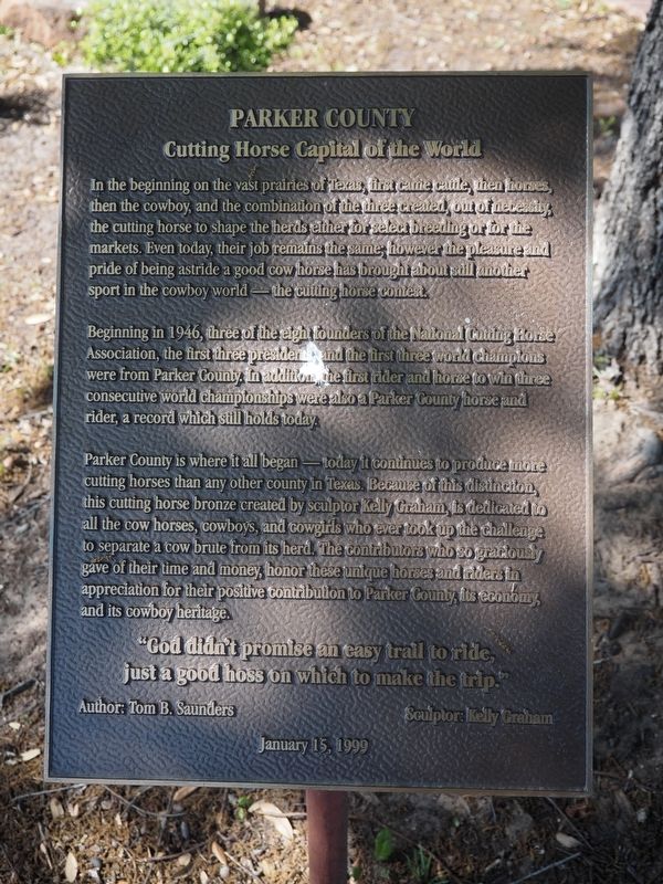 Parker County Marker image. Click for full size.