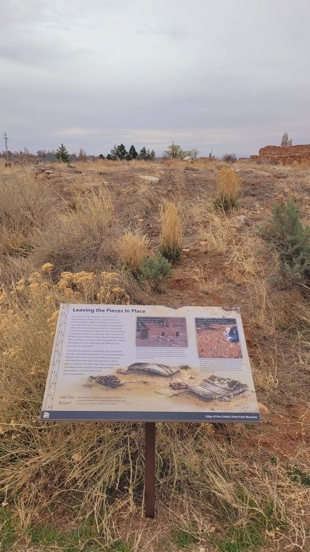 The view of the unexcavated area and marker image. Click for full size.