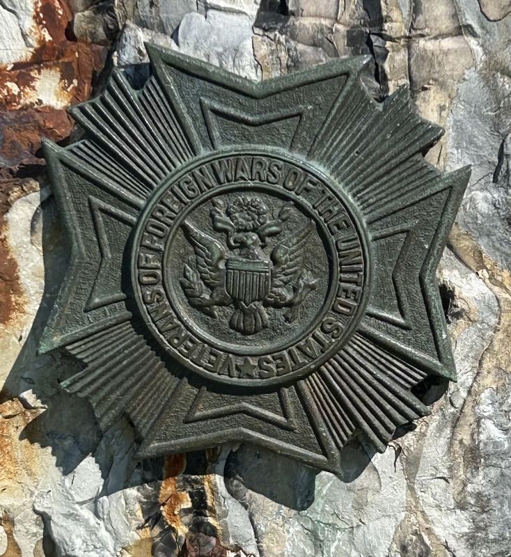 VFW insignia image. Click for full size.