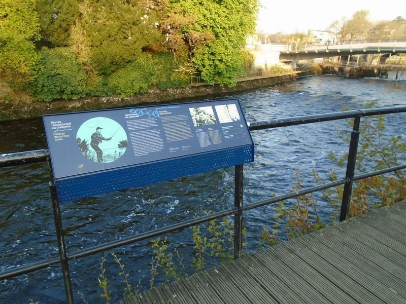 Salmon Weir Bridge/<lang=ga>Droichead na mBradán</lang=ga> Marker. Click for full size. Salmon Weir Bridge/<lang=ga>Droichead na mBradán</lang=ga> Marker image. Click for full size.