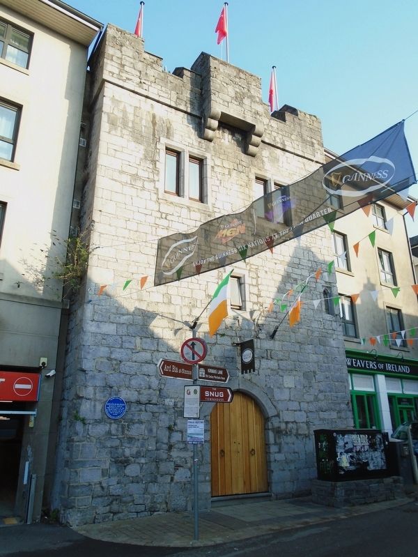 Blake's Castle/<lang=ga>Caisle�n an Bhl�caigh</lang=ga> and Marker image. Click for full size.