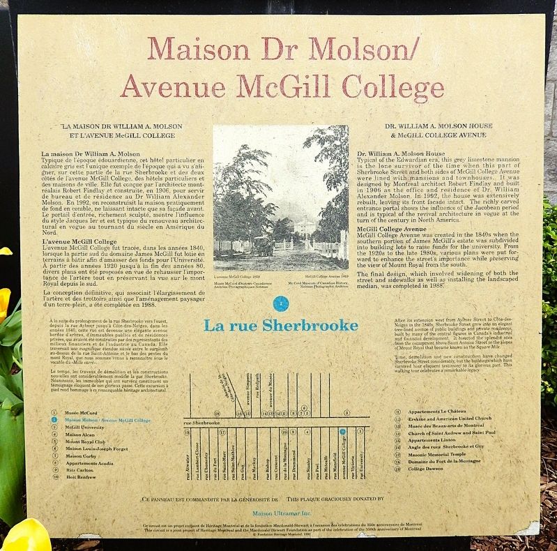 Maison Dr. Molson/Avenue McGill College Marker image. Click for full size.