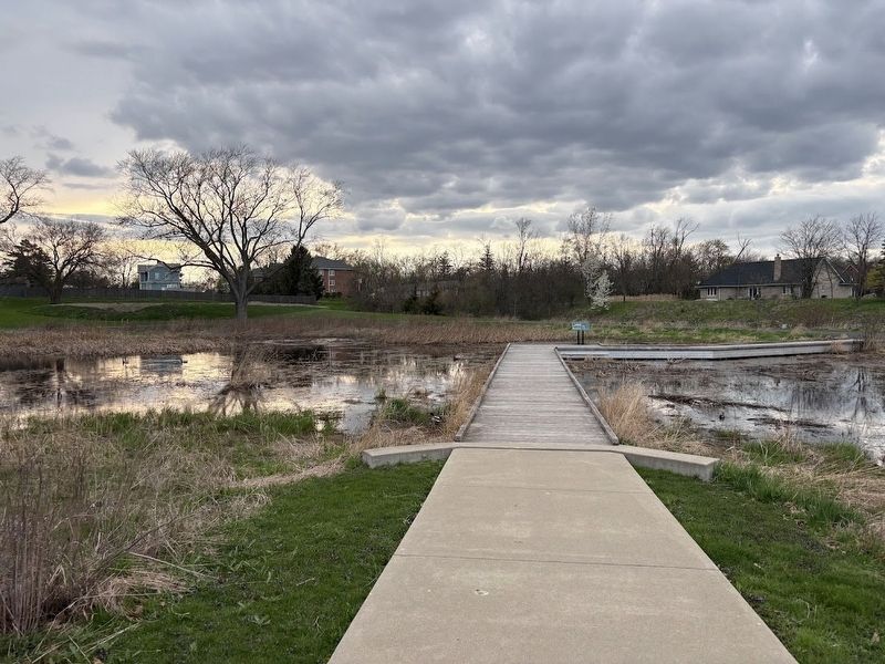 Bernas Park pond image. Click for full size.