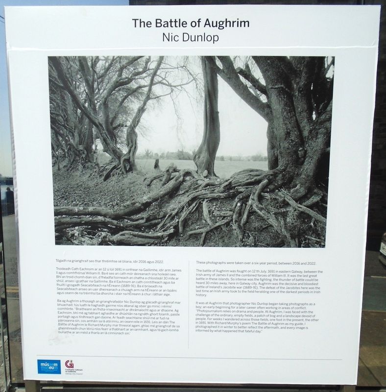 The Battle of Aughrim Marker image. Click for full size.