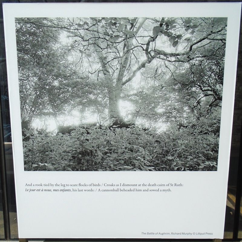 The Battle of Aughrim Marker image. Click for full size.