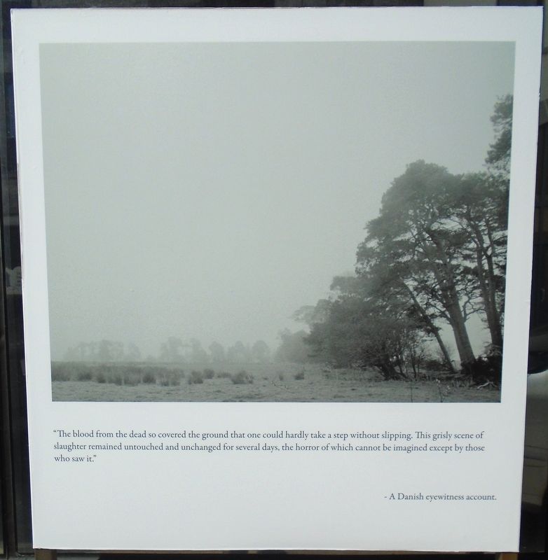 The Battle of Aughrim Marker image. Click for full size.