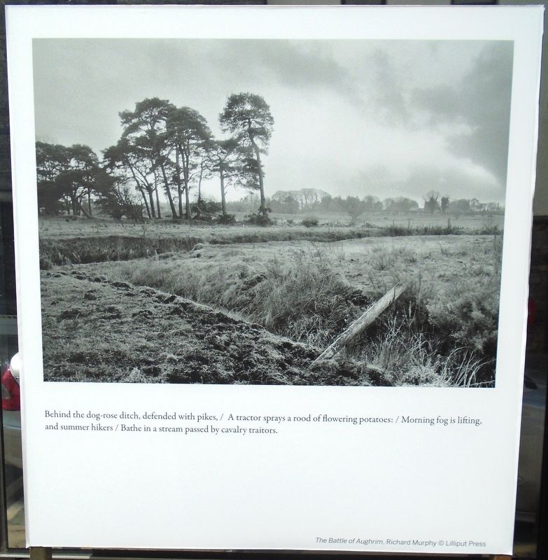 The Battle of Aughrim Marker image. Click for full size.