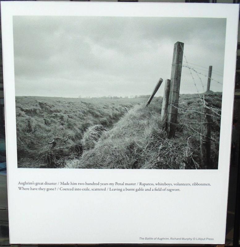 The Battle of Aughrim Marker image. Click for full size.
