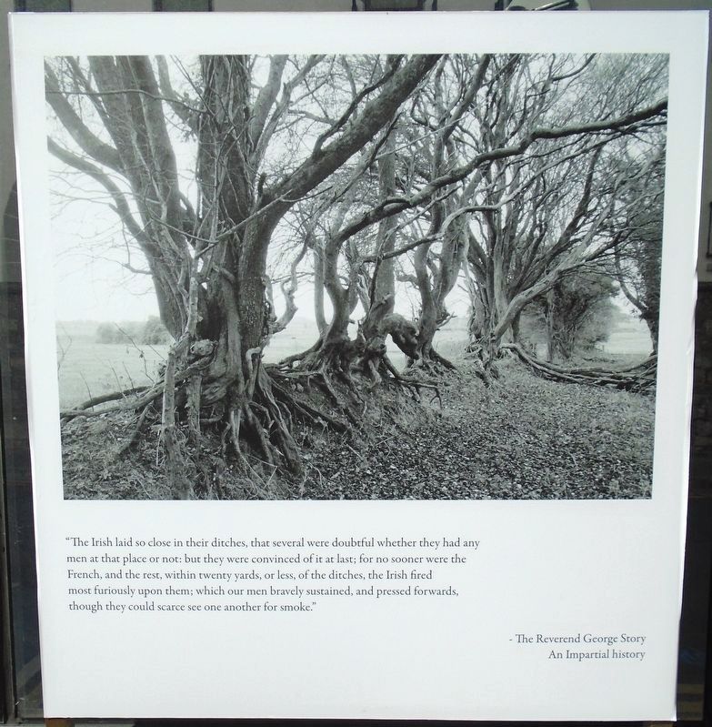 The Battle of Aughrim Marker image. Click for full size.