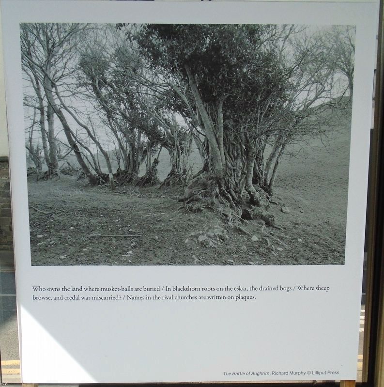 The Battle of Aughrim Marker image. Click for full size.