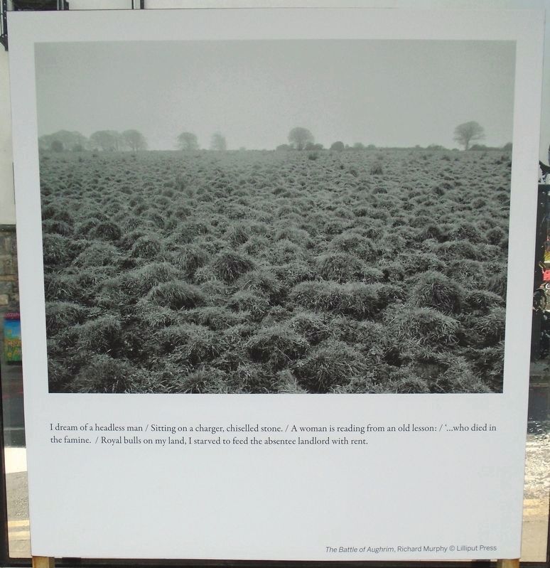 The Battle of Aughrim Marker image. Click for full size.