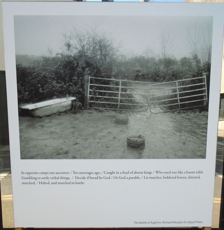 The Battle of Aughrim Marker image. Click for full size.