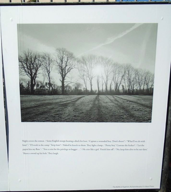 The Battle of Aughrim Marker image. Click for full size.