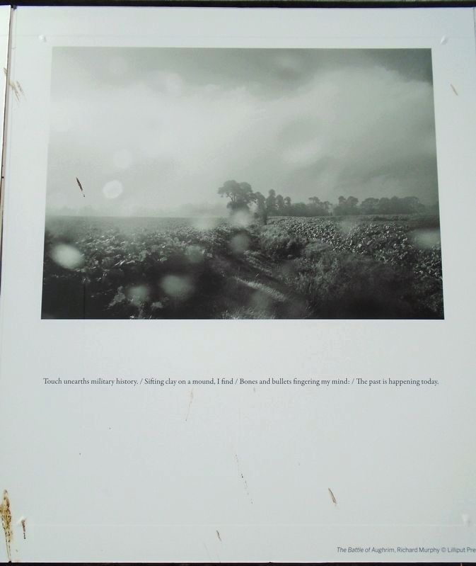 The Battle of Aughrim Marker image. Click for full size.