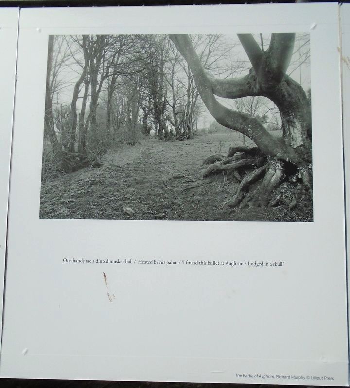 The Battle of Aughrim Marker image. Click for full size.