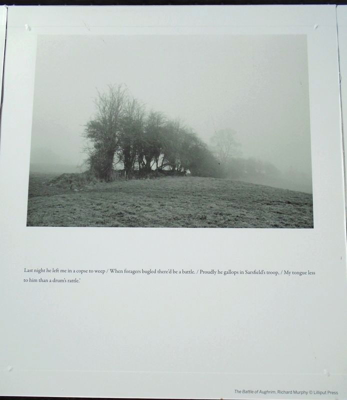 The Battle of Aughrim Marker image. Click for full size.
