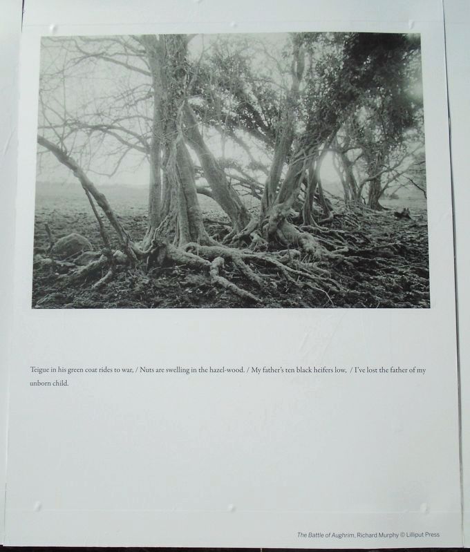The Battle of Aughrim Marker image. Click for full size.