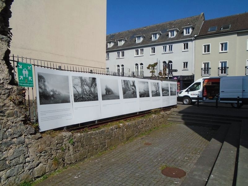 The Battle of Aughrim Photo Essay Markers (end) image. Click for full size.
