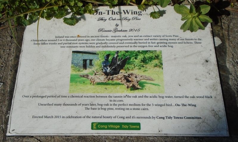 On-The-Wing Marker image. Click for full size.