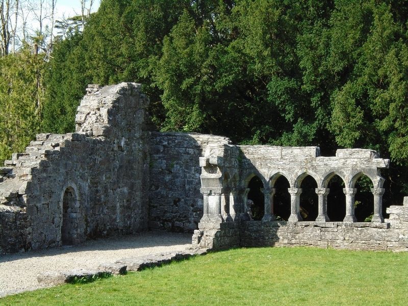 Cong Abbey/<lang=ga>Mainistir Chonga</lang=ga> Cloister Remnant image. Click for full size.