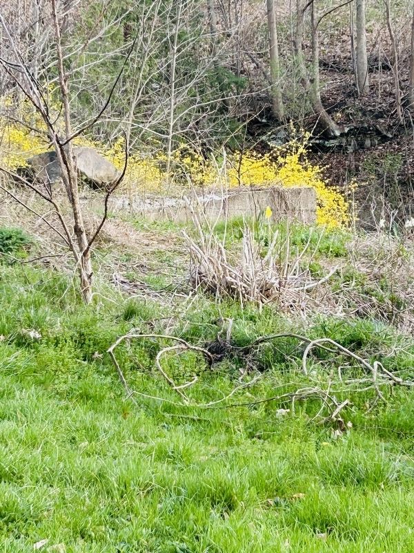 Remnants of Grist Mill and Cantine Mansion Marker. image. Click for full size.