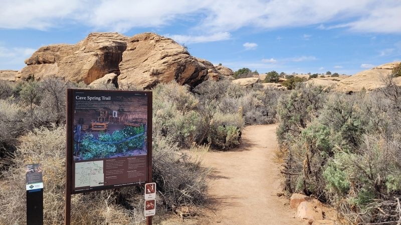 The Cave Spring Trail Marker and Trailhead. Click for full size. The Cave Spring Trail Marker and Trailhead image. Click for full size.