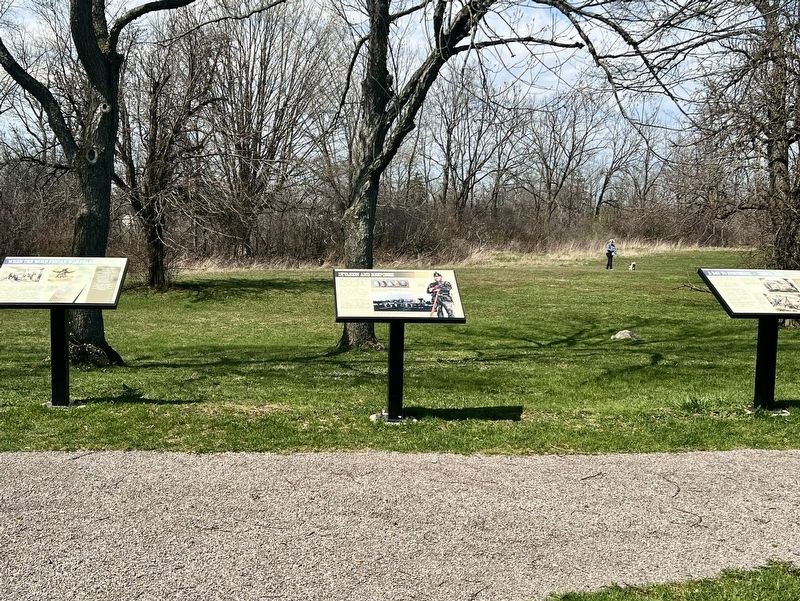 Invasion and Response Marker image. Click for full size.