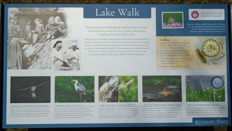 Lake Walk Marker. Click for full size. Lake Walk Marker image. Click for full size.