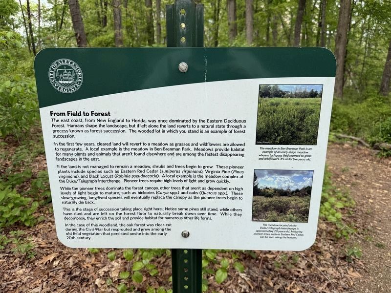 From Field to Forest Marker. Click for full size. From Field to Forest Marker image. Click for full size.