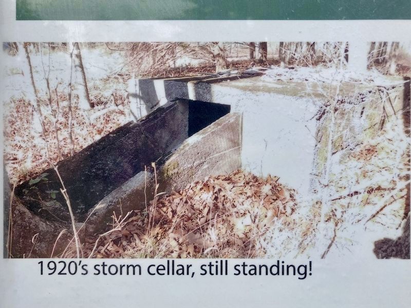 1920s Storm Cellar, still standing!. Click for full size. 1920s Storm Cellar, still standing! image. Click for full size.