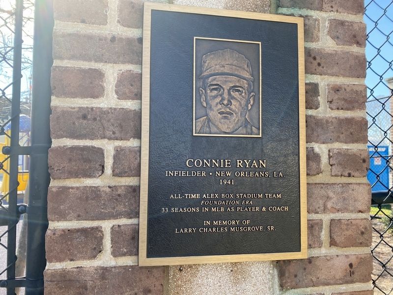 Connie Ryan Marker image. Click for full size.