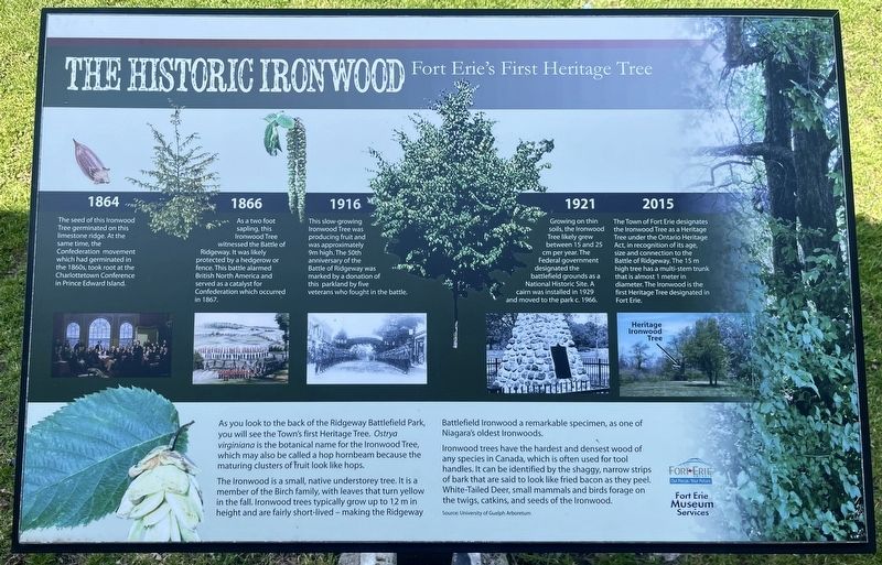 The Historic Ironwood Marker. Click for full size. The Historic Ironwood Marker image. Click for full size.