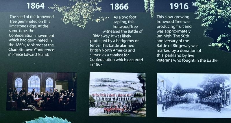 The Historic Ironwood marker timeline photos and descriptions (left). Click for full size. The Historic Ironwood marker timeline photos and descriptions (left) image. Click for full size.