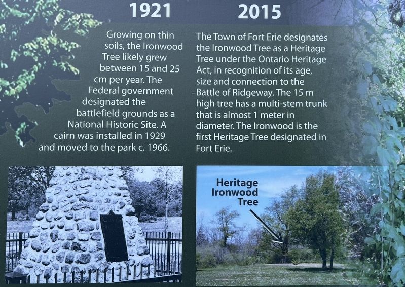 The Historic Ironwood marker timeline photos and descriptions (right). Click for full size. The Historic Ironwood marker timeline photos and descriptions (right) image. Click for full size.