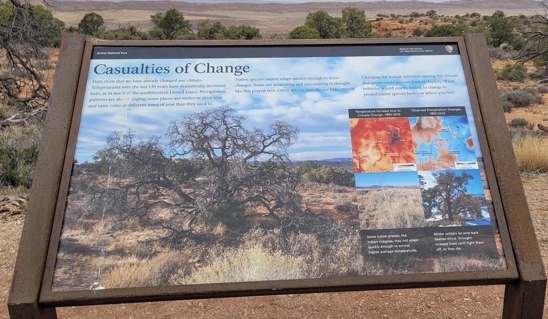 Casualties of Change Marker. Click for full size. Casualties of Change Marker image. Click for full size.