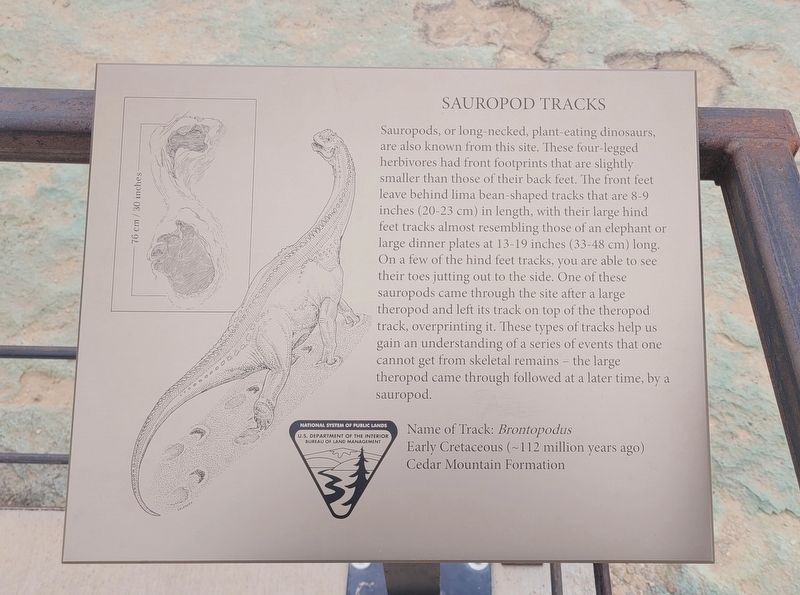 Sauropod Tracks Marker image. Click for full size.