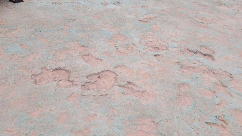Sauropod Tracks image. Click for full size.