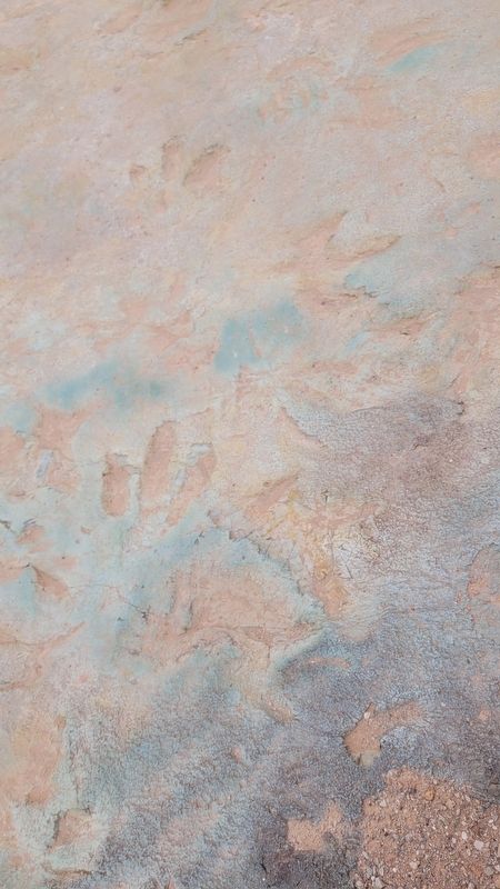 Ornithopod Tracks. Click for full size. Ornithopod Tracks image. Click for full size.