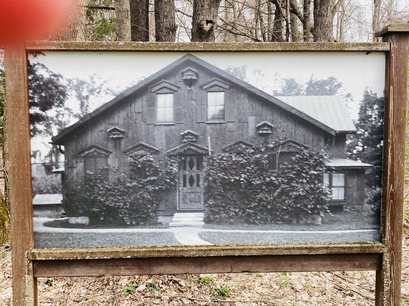 The Bird House image. Click for full size.